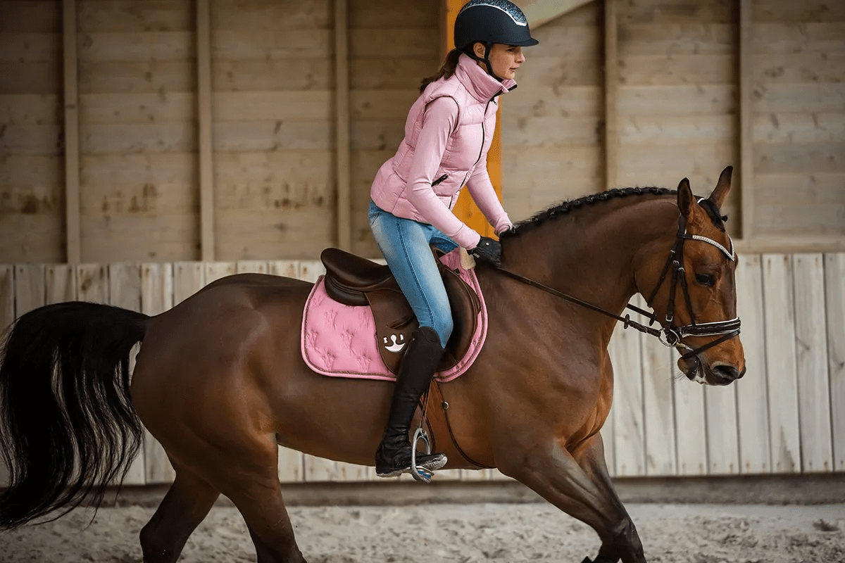 Sale Saddles - Saddleworld Devonport