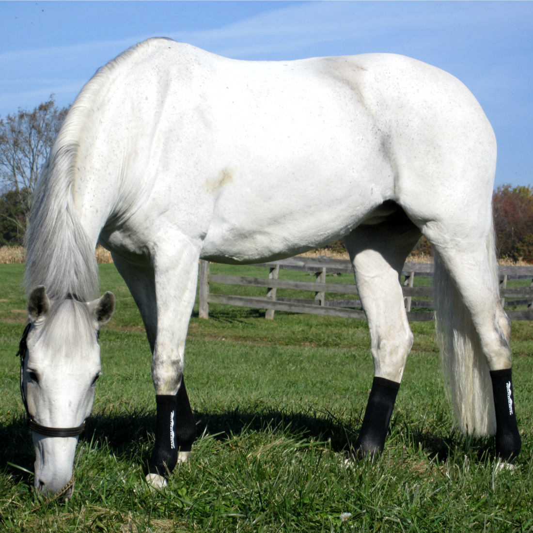 Equi Flex Sleeve Horse Compression Socks