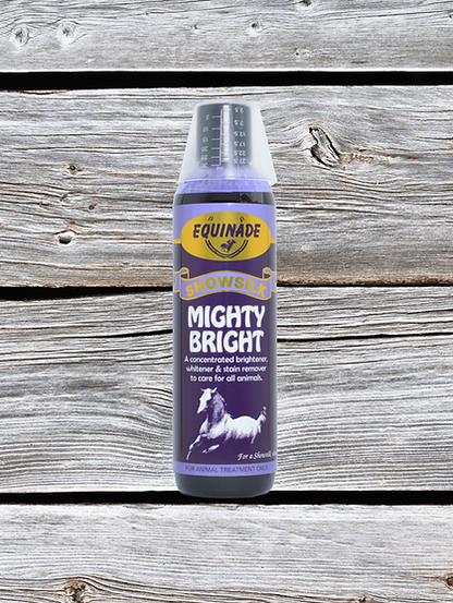 Equinade Showsilk Mighty Bright