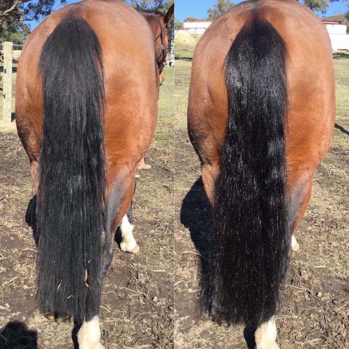 Hairy Pony 2 In 1 Detangler And Shine Original 125ml