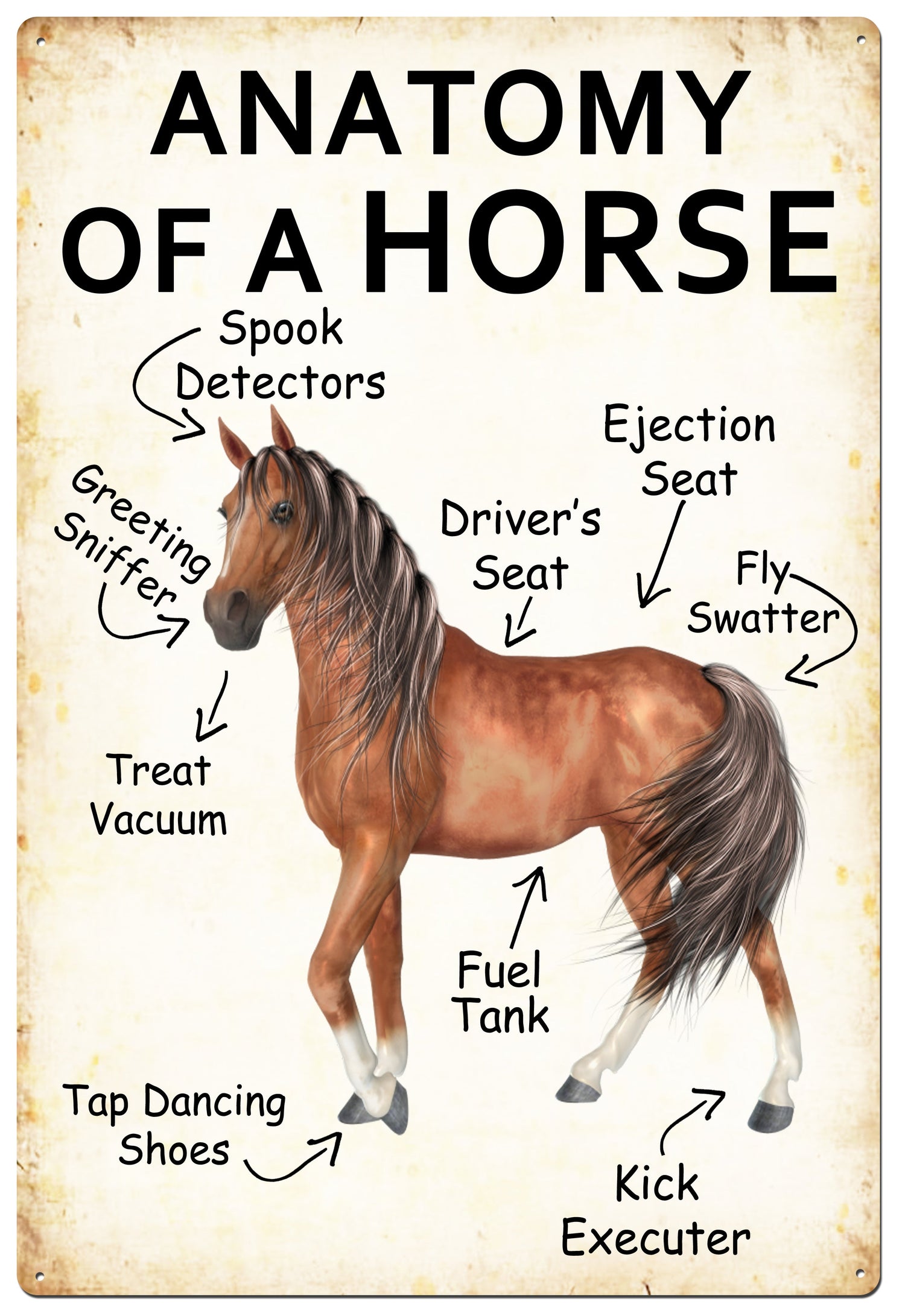 Horse Anatomy Sign