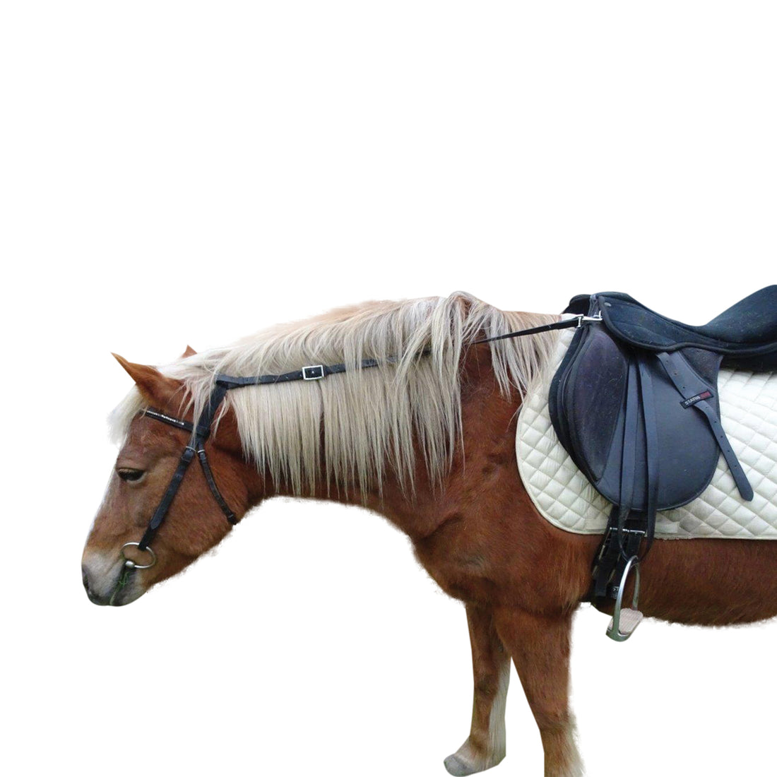 Showcraft Grass Daisy Reins