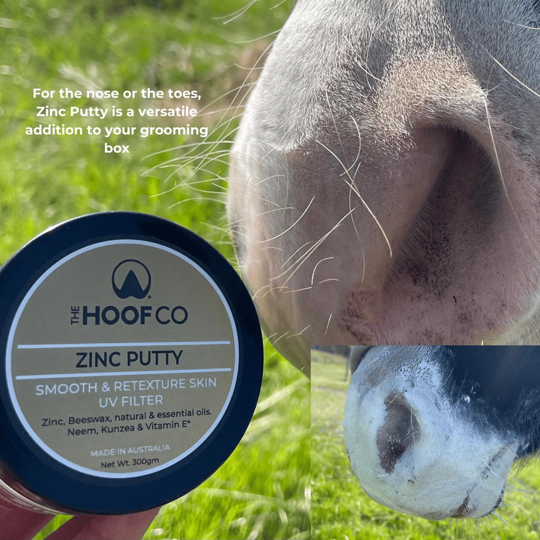 The Hoof Co Zinc Putty