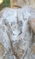 The Hoof Co Hoof Powder