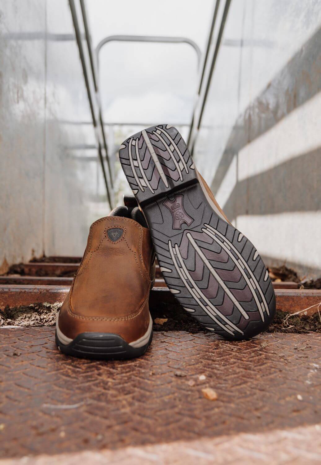 Ariat Men&