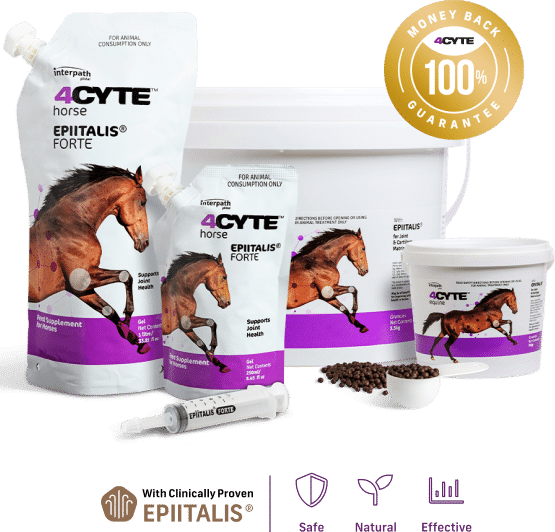 4Cyte Equine Epiitalis Forte Gel - Saddleworld Devonport