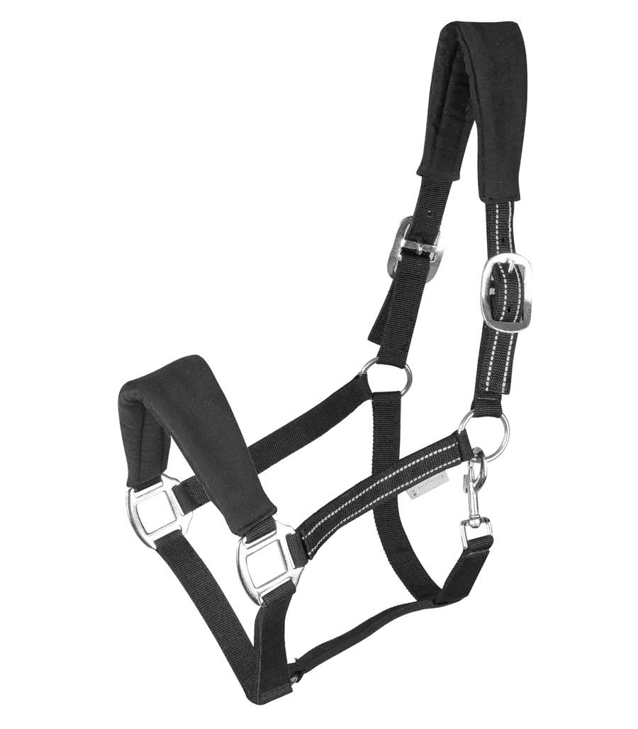 Waldhausen Alcantara Halter