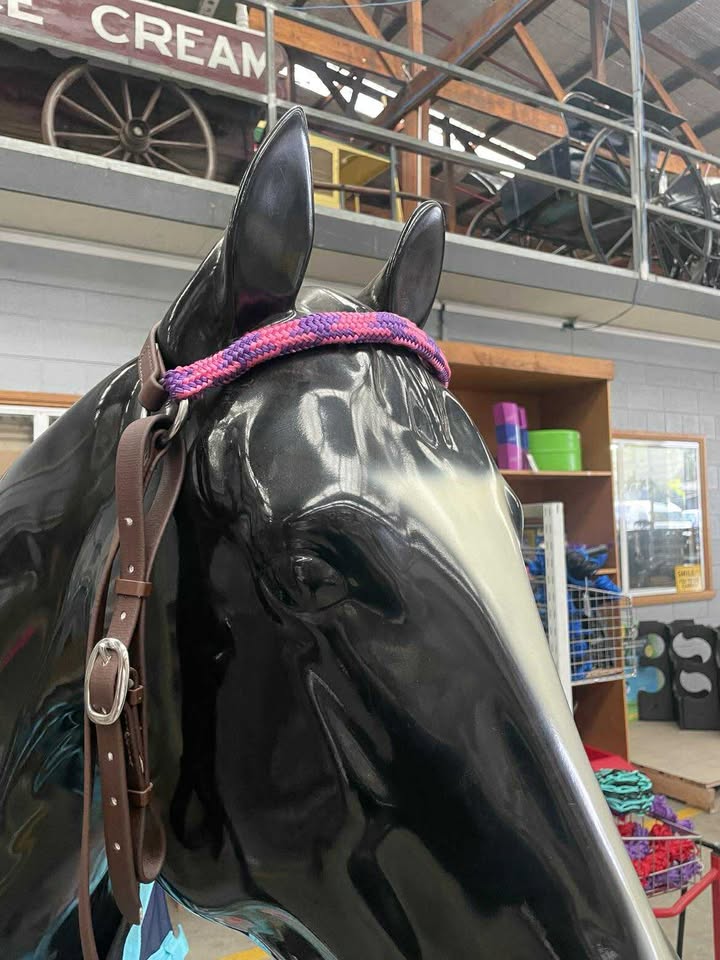 Plat Barcoo Bridle PVC