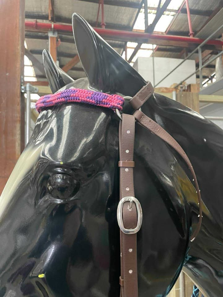 Plat Barcoo Bridle PVC