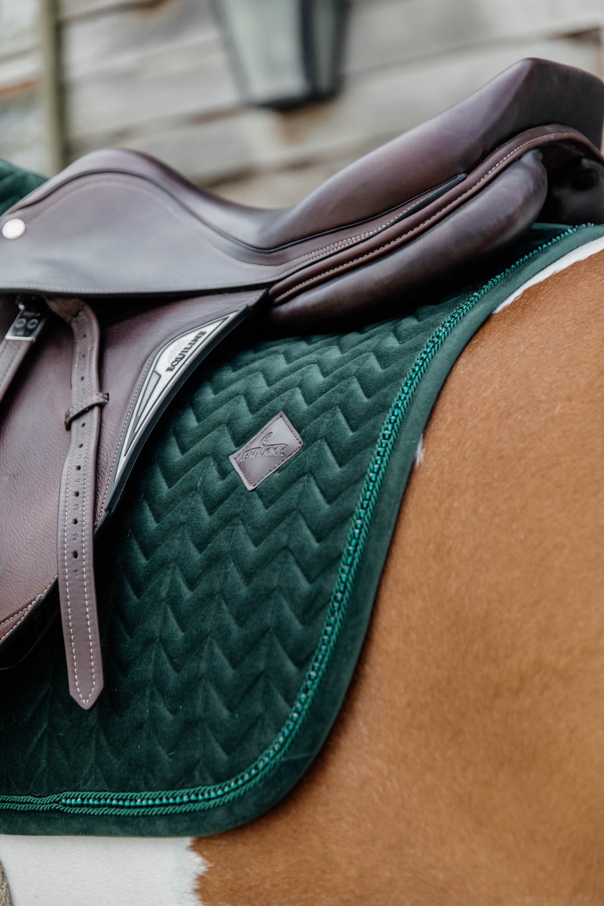 Kentucky Horseware Velvet Pearls Showjumping Pad