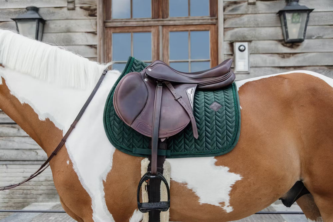 Kentucky Horseware Velvet Pearls Showjumping Pad