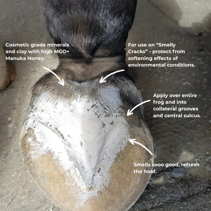 The Hoof Co Hoof Pack