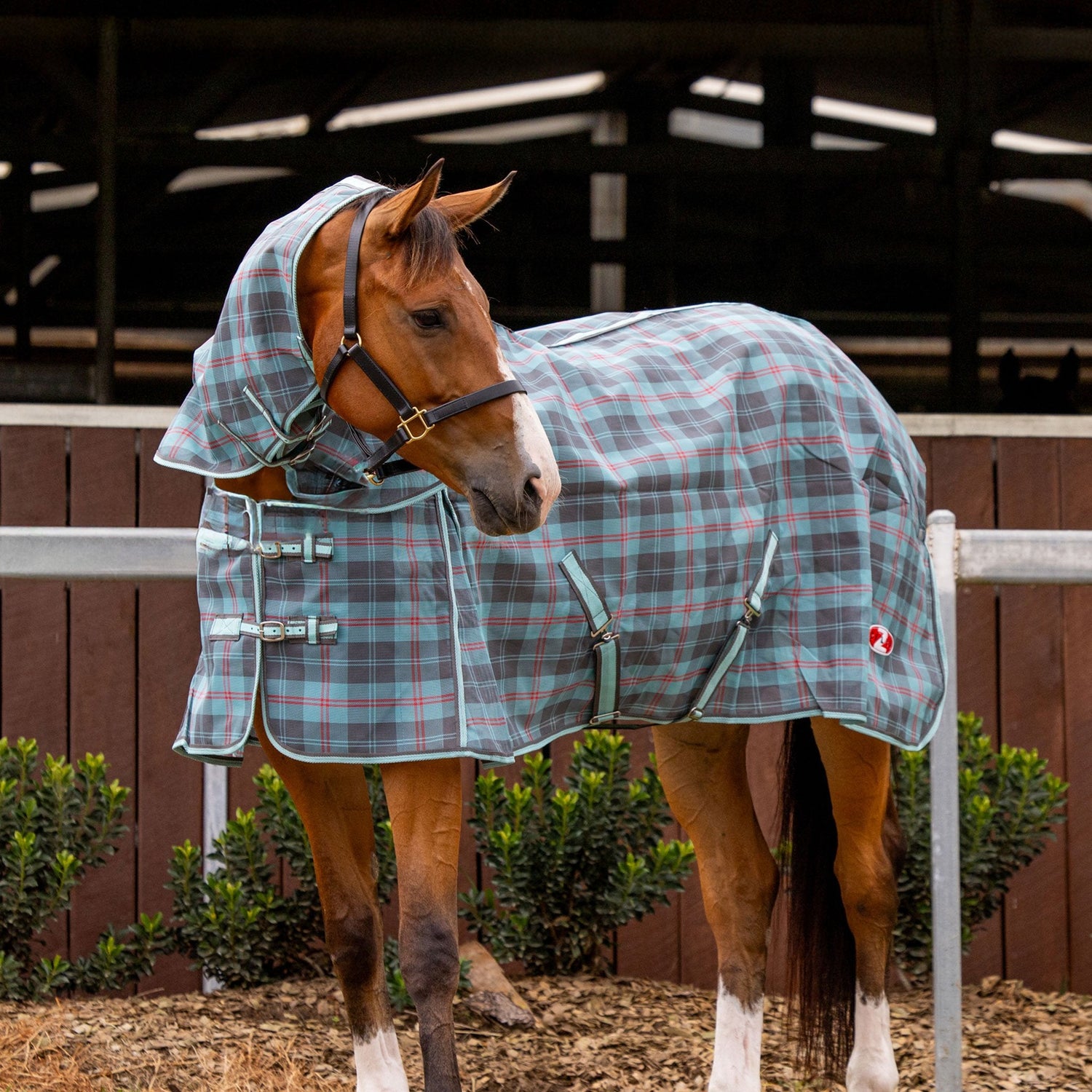 Supashade Combo PVC Rug