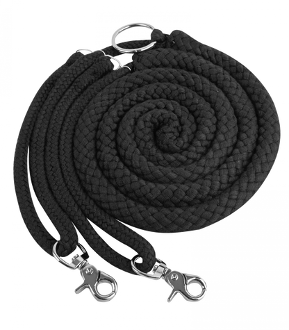 Waldhausen Lunging Aid