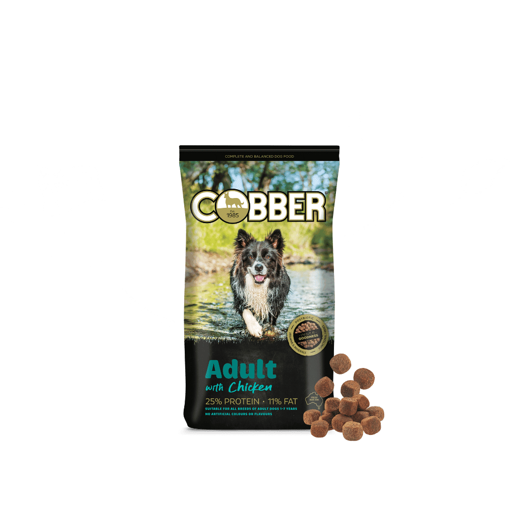 Cobber Adult Dog Food (Chicken) 20kg