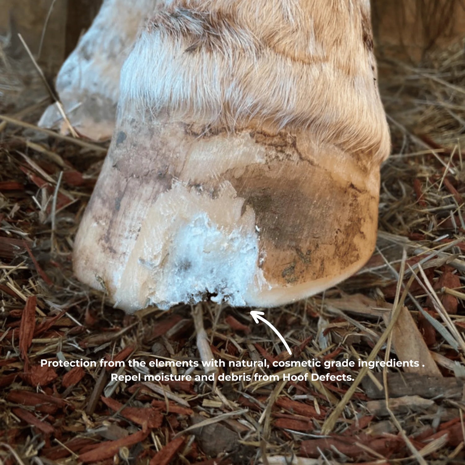 The Hoof Co Beeswax PURE Balls