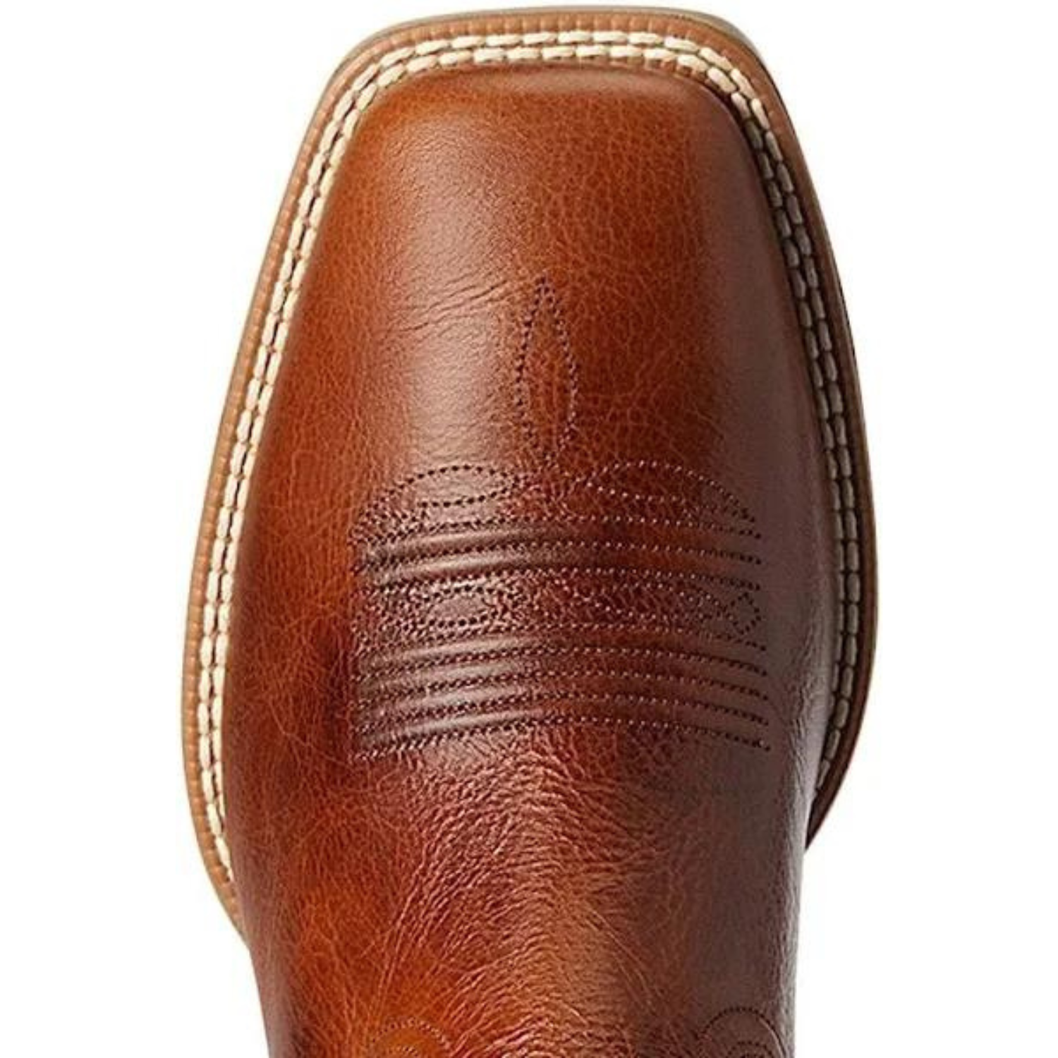 Ariat Men Ryden Ultra