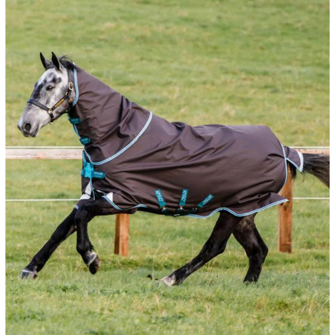 Horseware Ireland Amigo Bravo 12+ Turnout 0g