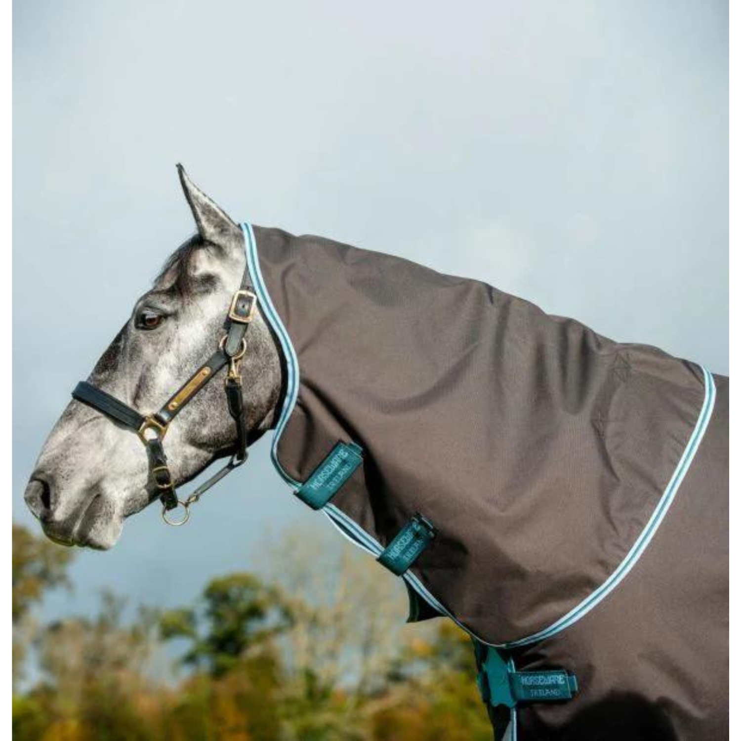 Horseware Ireland Amigo Bravo 12+ Turnout 0g