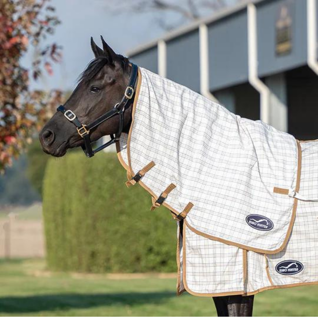 Eurohunter Grand National Cross-Over Neck Rug