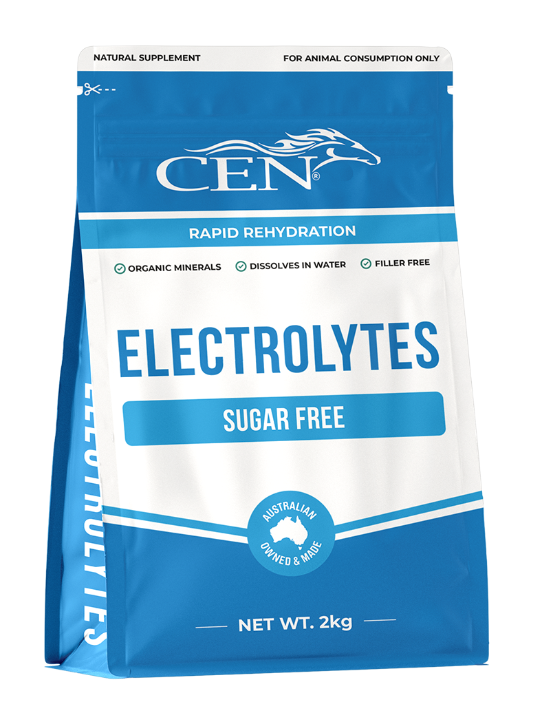 CEN Macrobiotic Crystal Salt 2kg