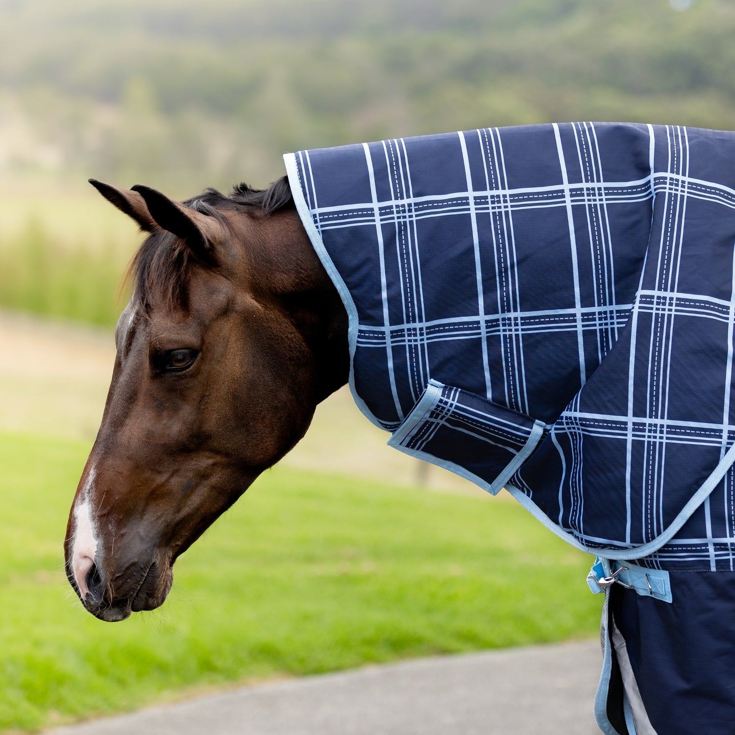 Equest Pro Frosted Check 1680 Denier Detacha Neck Winter Horse rug