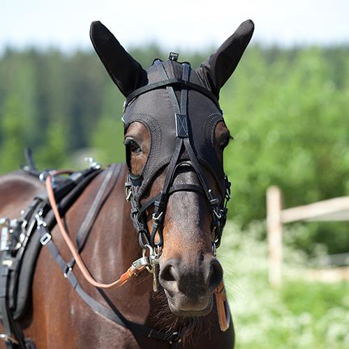 Face Hood With Ears