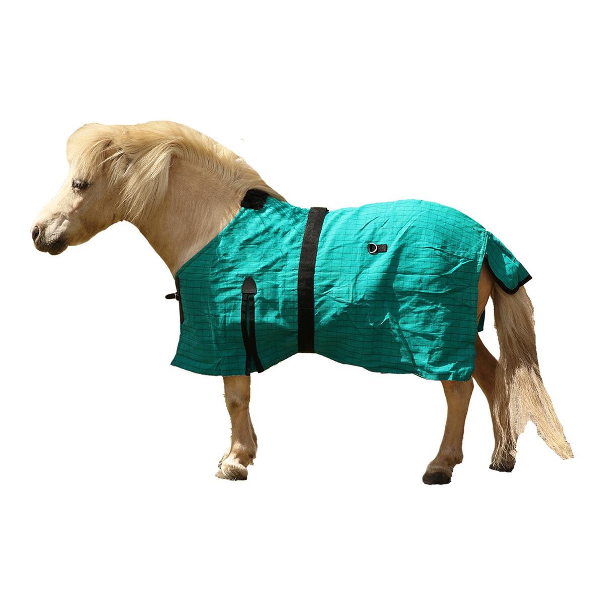 Eureka Canvas Rug for Miniature Horses