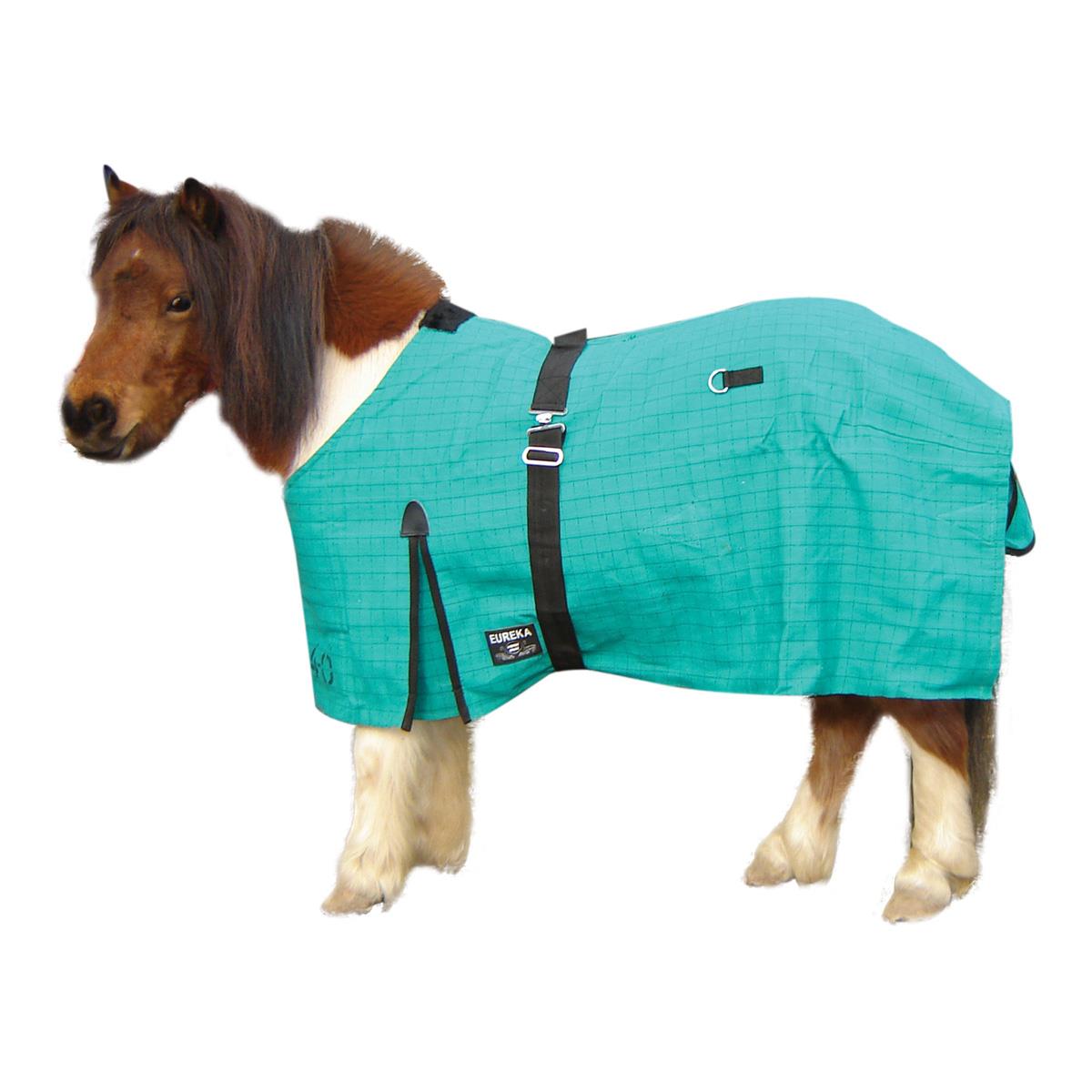 Eureka Canvas Rug for Miniature Horses