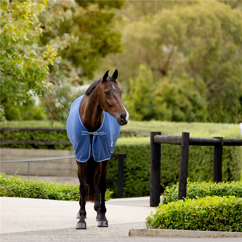 Equest Pro Fleece Rug