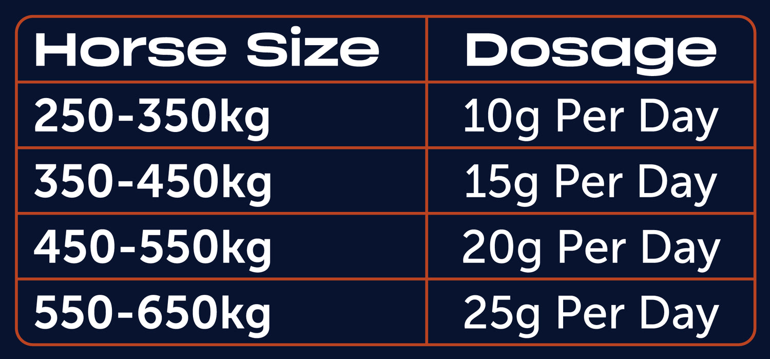 Iron Horse Equine Hoofwell