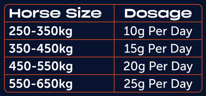 Iron Horse Equine Hoofwell