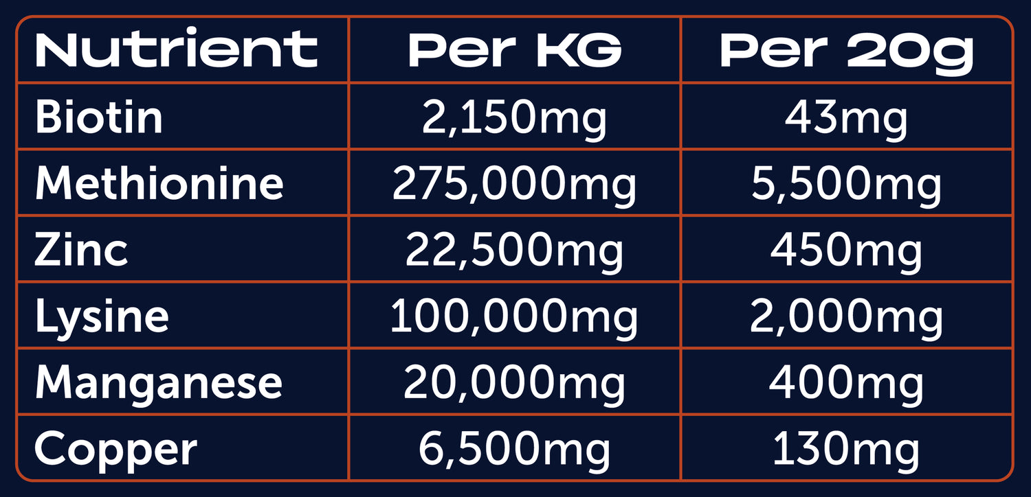 Iron Horse Equine Hoofwell