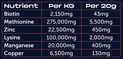 Iron Horse Equine Hoofwell