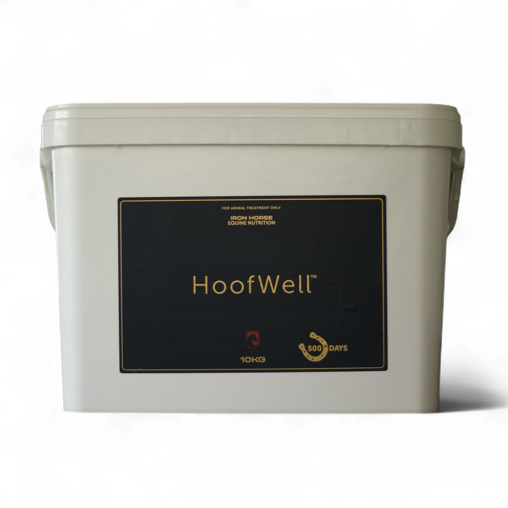 Iron Horse Equine Hoofwell