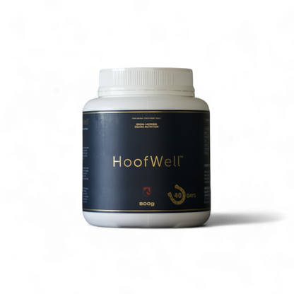 Iron Horse Equine Hoofwell