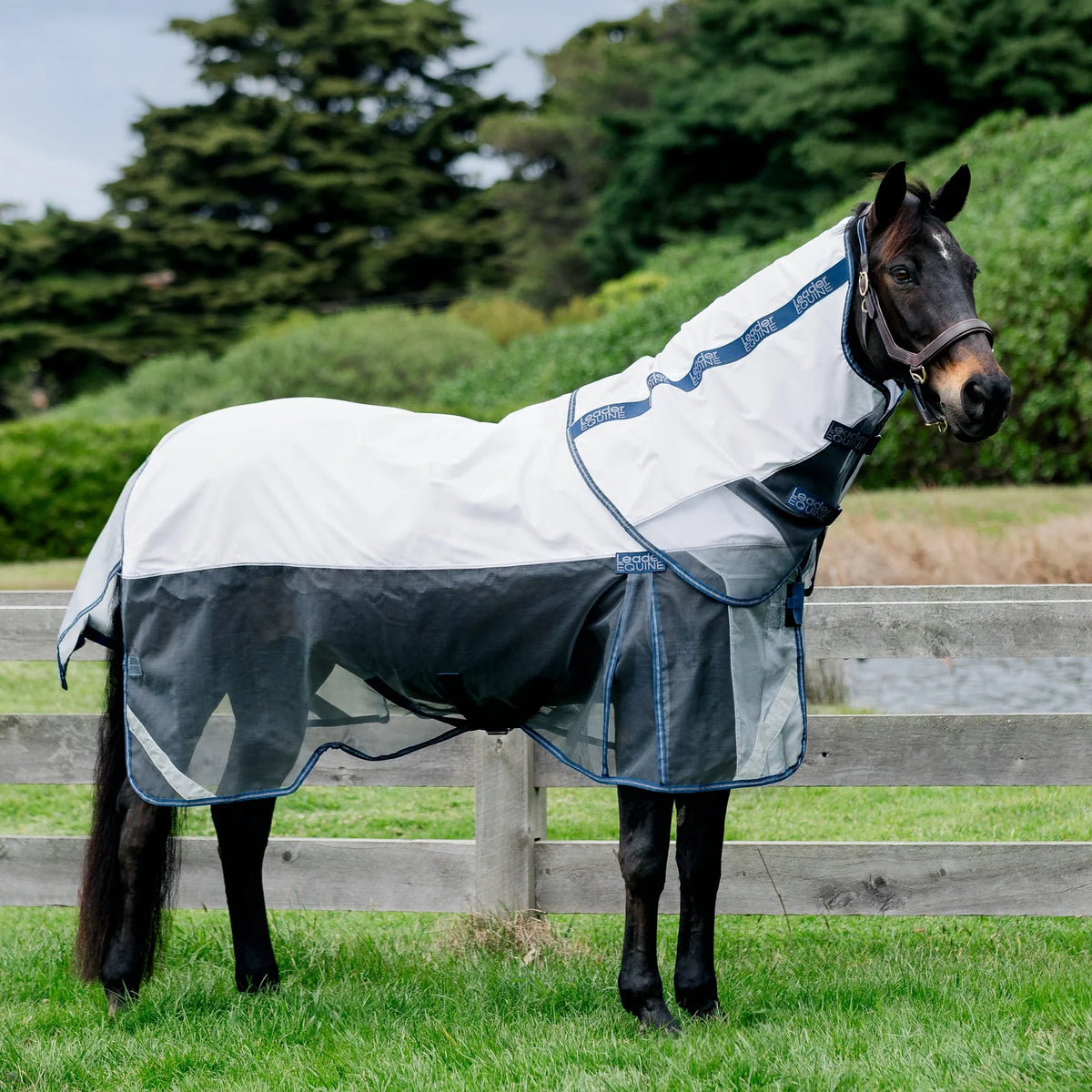 Leader Equine Breeze Summer Sheet with Fieldsafe Front