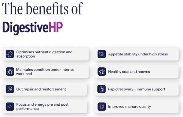 Poseidon Digestive HP