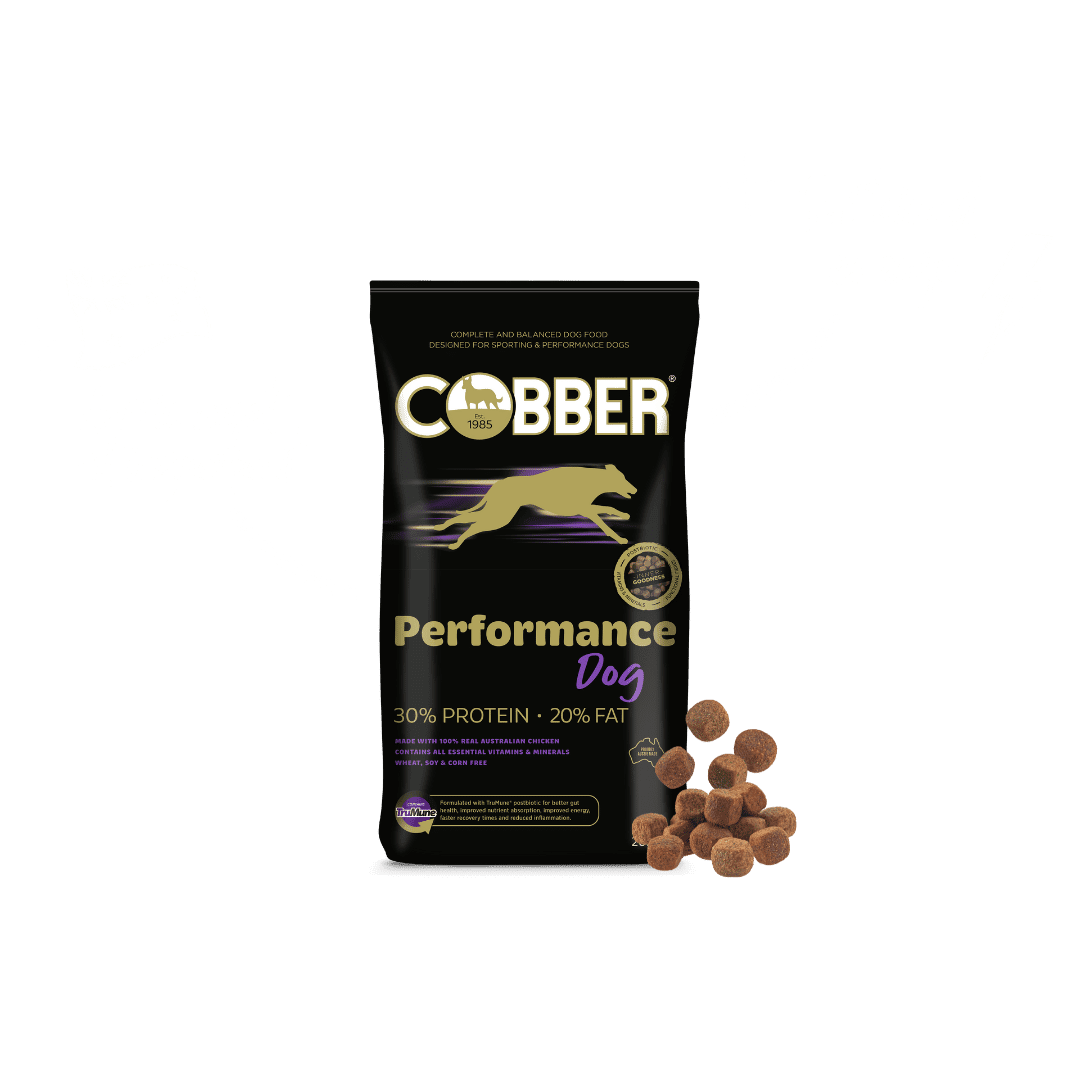 Cobber Performance Dog Food 20kg