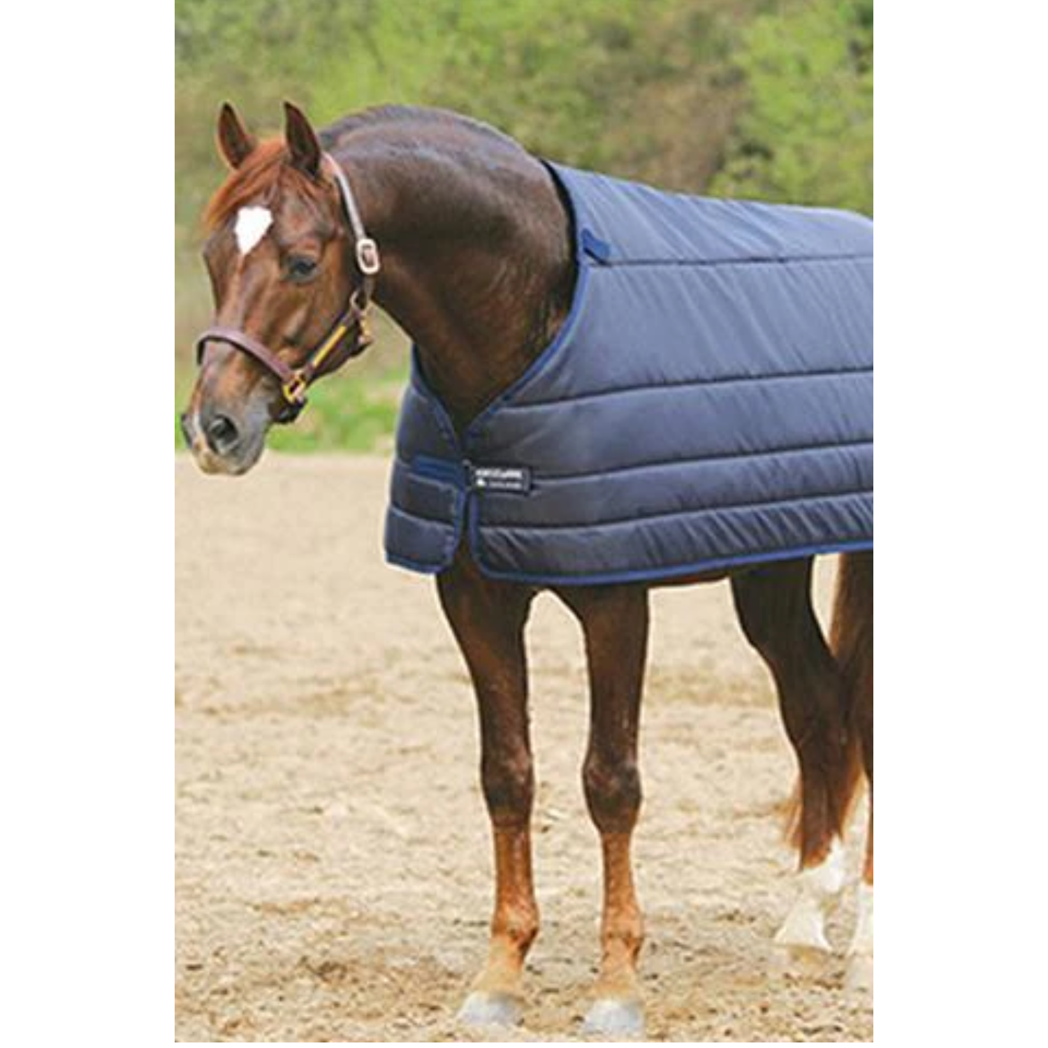 Horseware Liner 300g