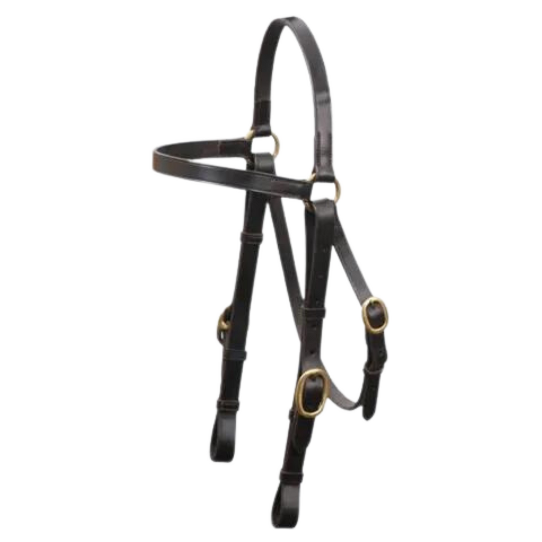 Eurohunter Barcoo Bridle