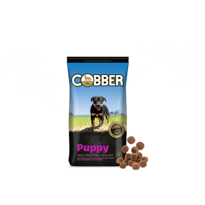 Cobber Puppy 20kg