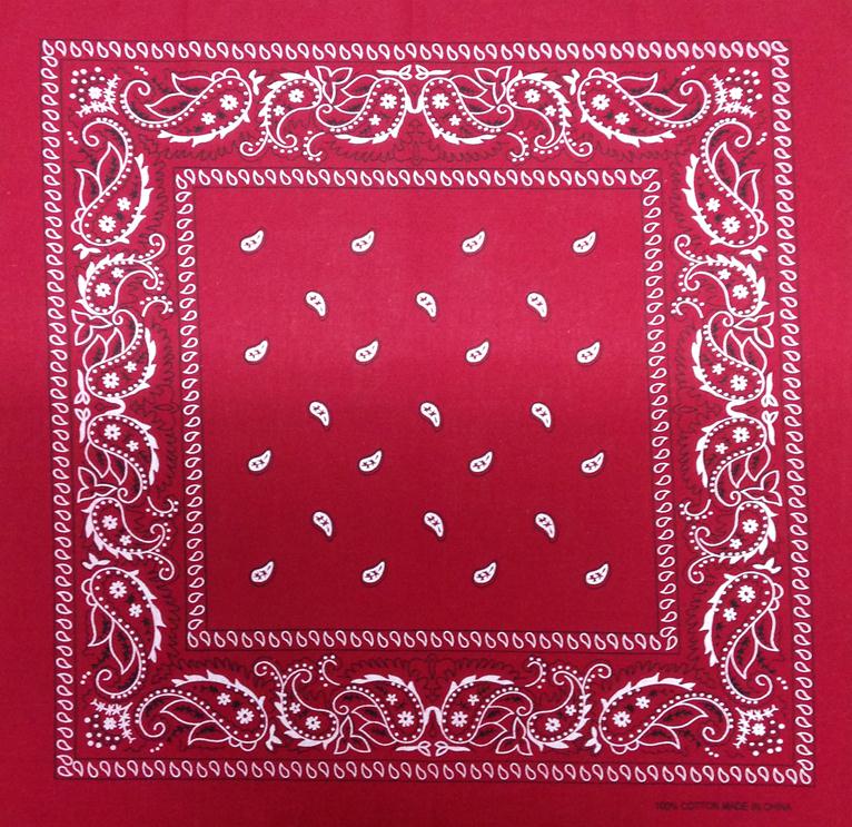 Paisley Bandana