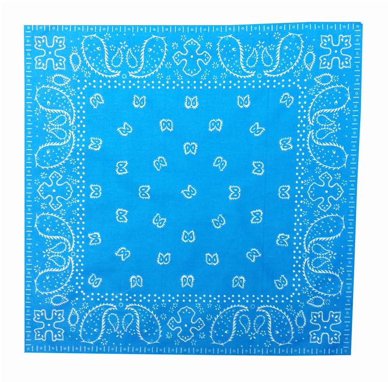 Paisley Bandana