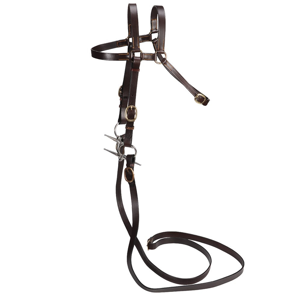 Ord River 7/8&quot; Extended Head Barcoo Bridle &amp; Reins