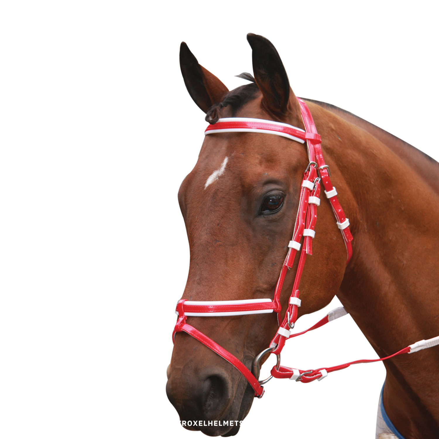 Showcraft PVC Hanoverian Event Bridle