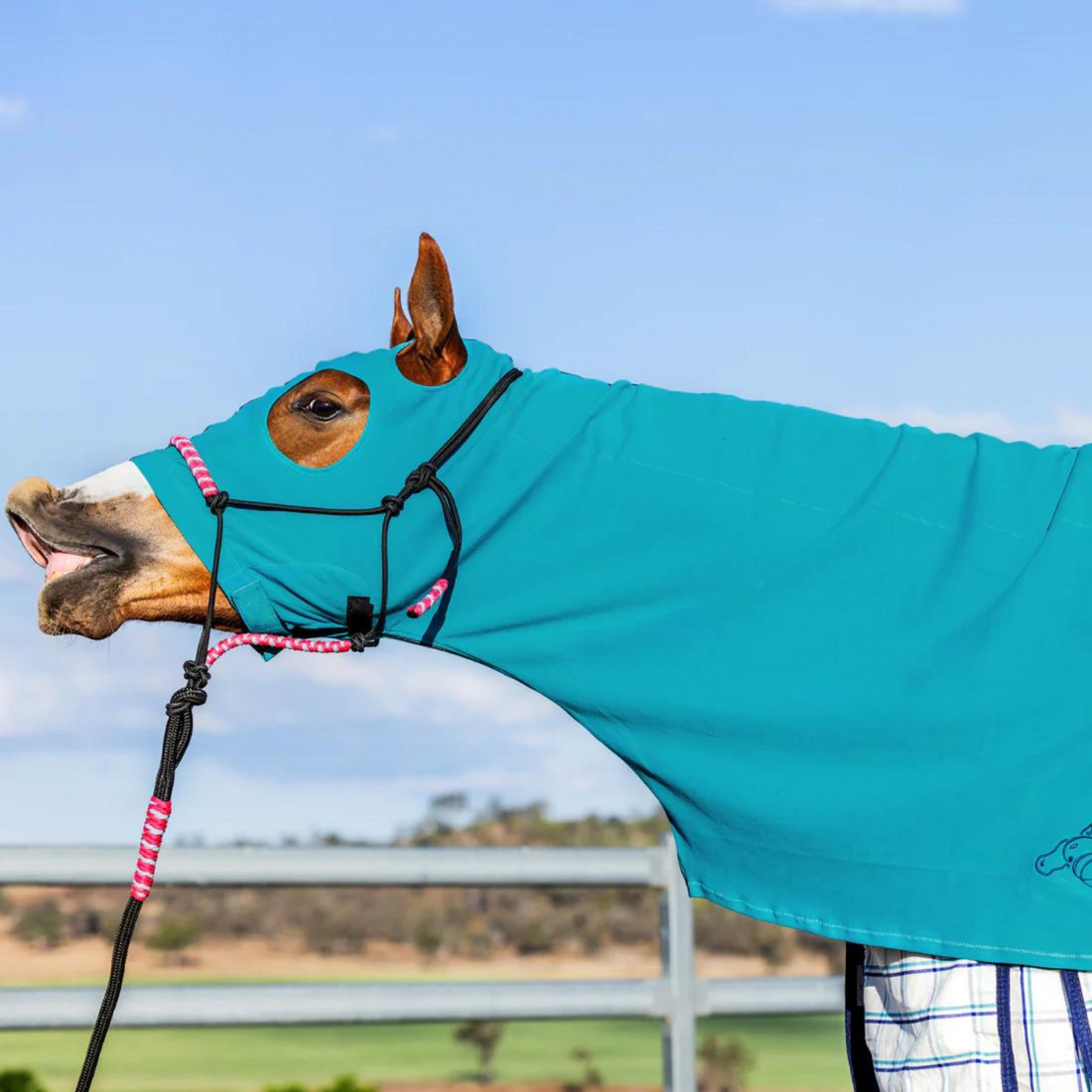 Earlwood Horse Hoods - Zip Up