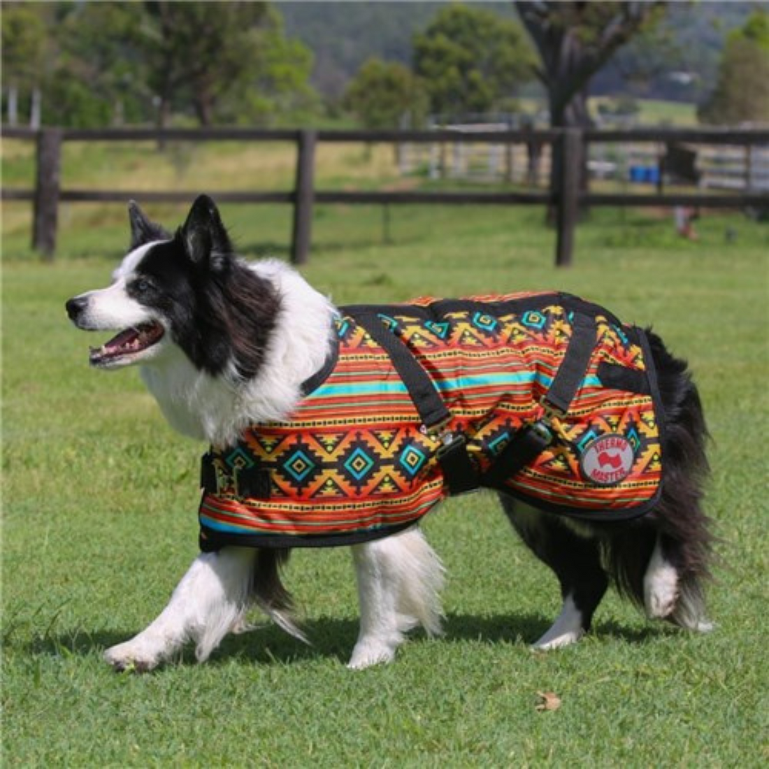 Thermomaster Supreme Dog Coat Nicoma
