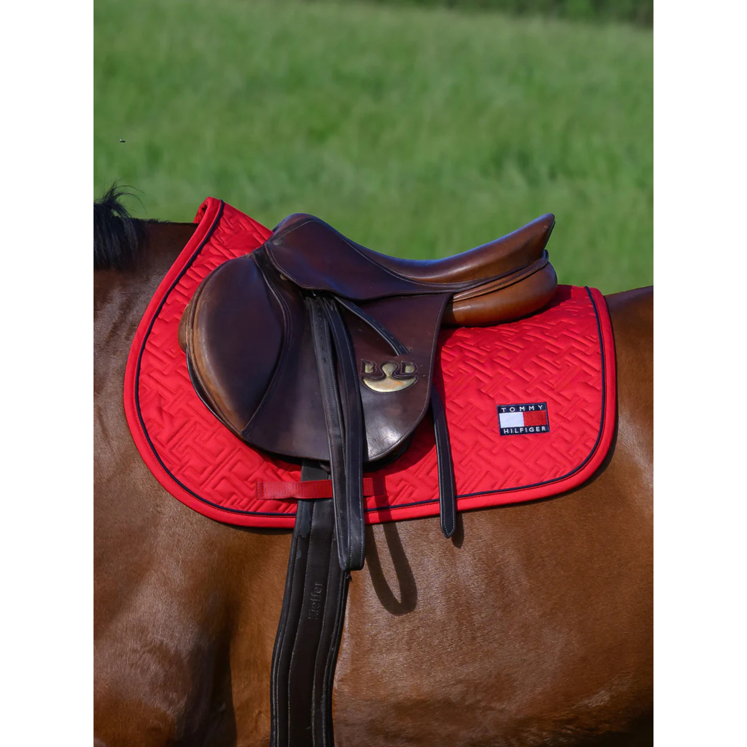 Tommy Hilfiger Harvard Dressage Saddlepad
