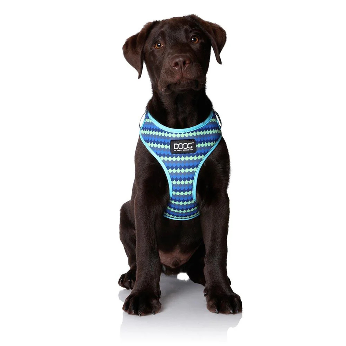 DOOG Neoflex Soft Harness